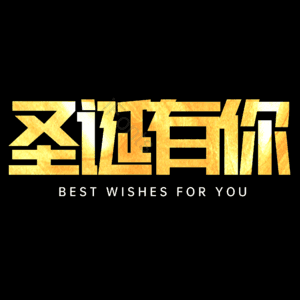 圣诞有你