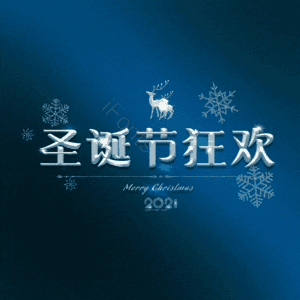 圣诞节狂欢