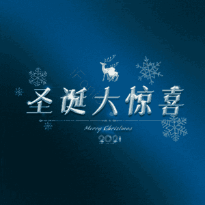 圣诞大惊喜