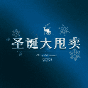 圣诞大甩卖