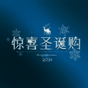 惊喜圣诞购