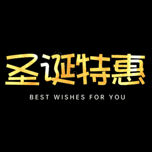 圣诞特惠