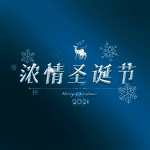 浓情圣诞节