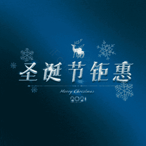 圣诞节钜惠