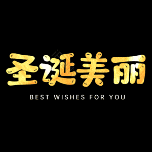 圣诞美丽