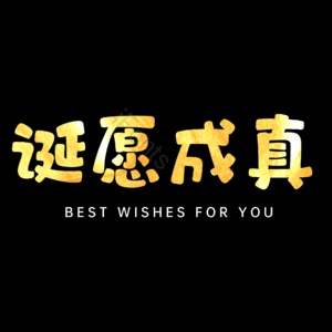 诞愿成真