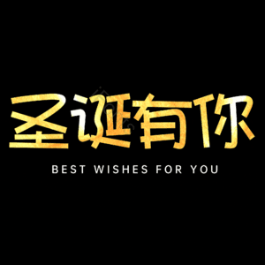 圣诞有你