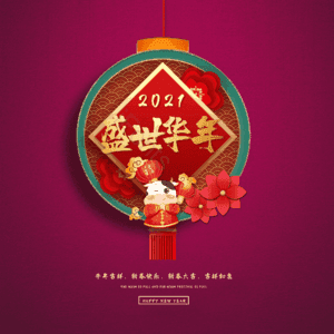 盛世华年