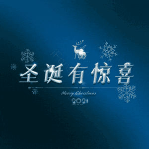 圣诞有惊喜