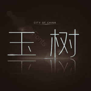 玉树