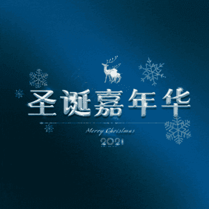 圣诞嘉年华