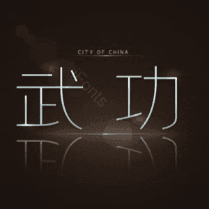 武功