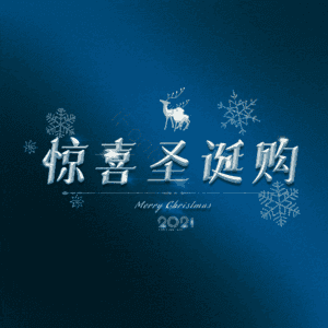 惊喜圣诞购