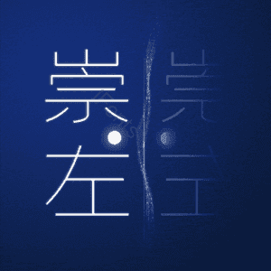 崇左
