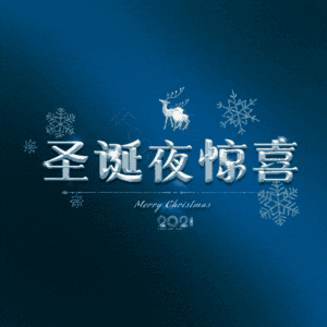 圣诞夜惊喜