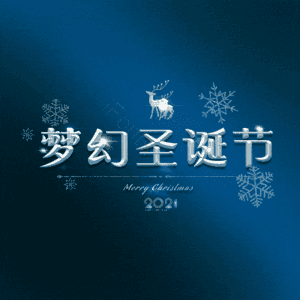 梦幻圣诞节