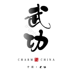 武功