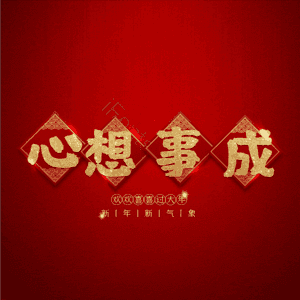 心想事成