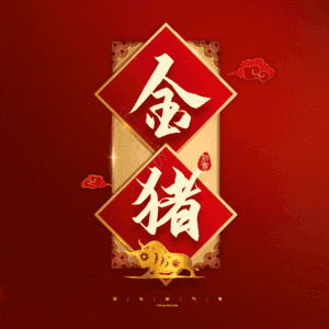 金猪