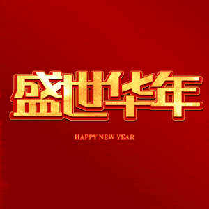 盛世华年