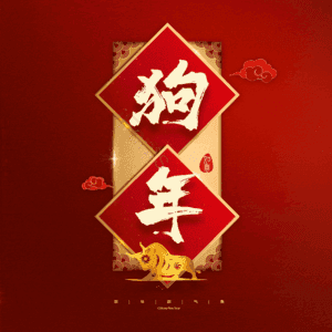 狗年