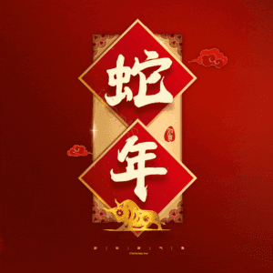 蛇年