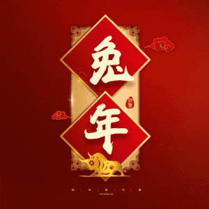 兔年