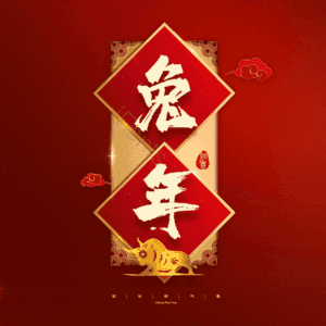 兔年