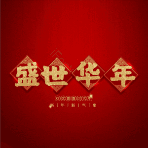 盛世华年