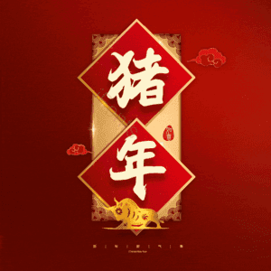 猪年