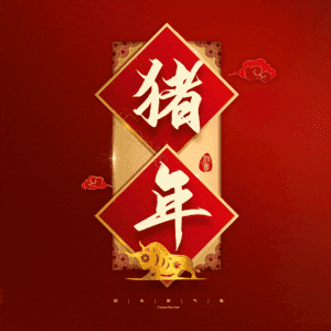 猪年