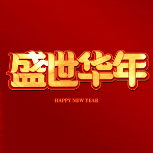 盛世华年
