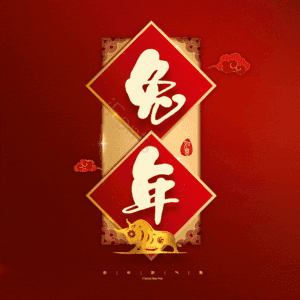 兔年