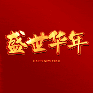盛世华年