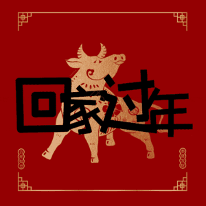 回家过年