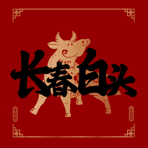 长春白头