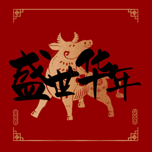 盛世华年