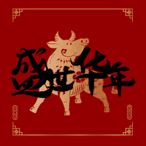 盛世华年