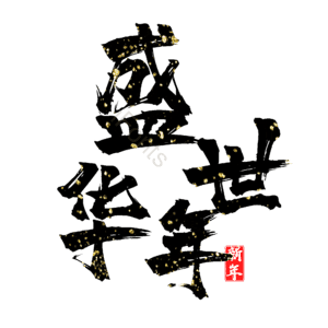 盛世华年