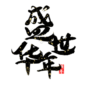 盛世华年