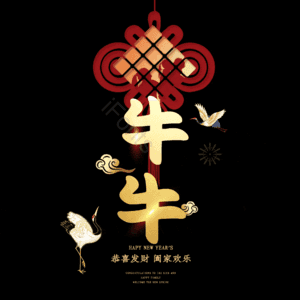 牛牛