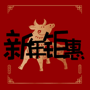 新年钜惠