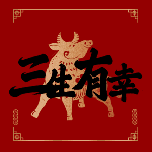 三生有幸