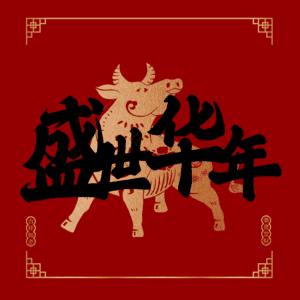盛世华年