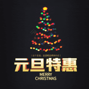 元旦特惠