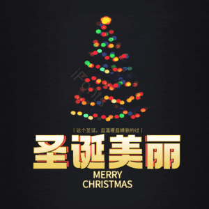 圣诞美丽