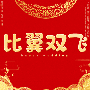 比翼双飞