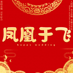 凤凰于飞