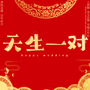 天生一对