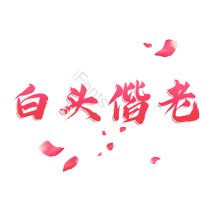 白头偕老